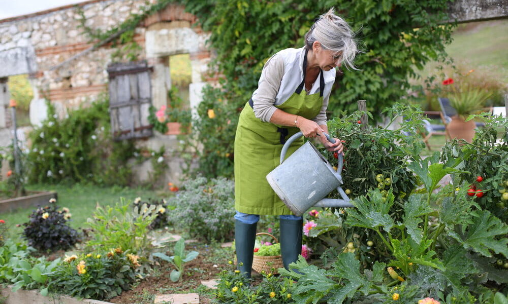 Gardening for Biodiversity: Attracting Wildlife to Your Backyard