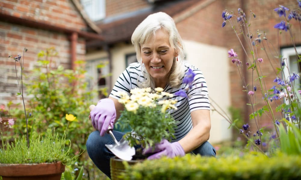 Therapeutic Benefits of Gardening