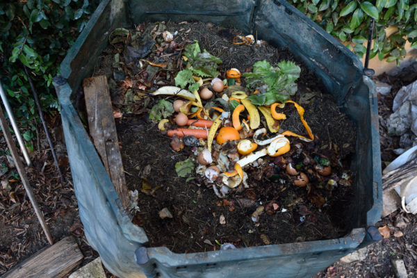 Compost at Home