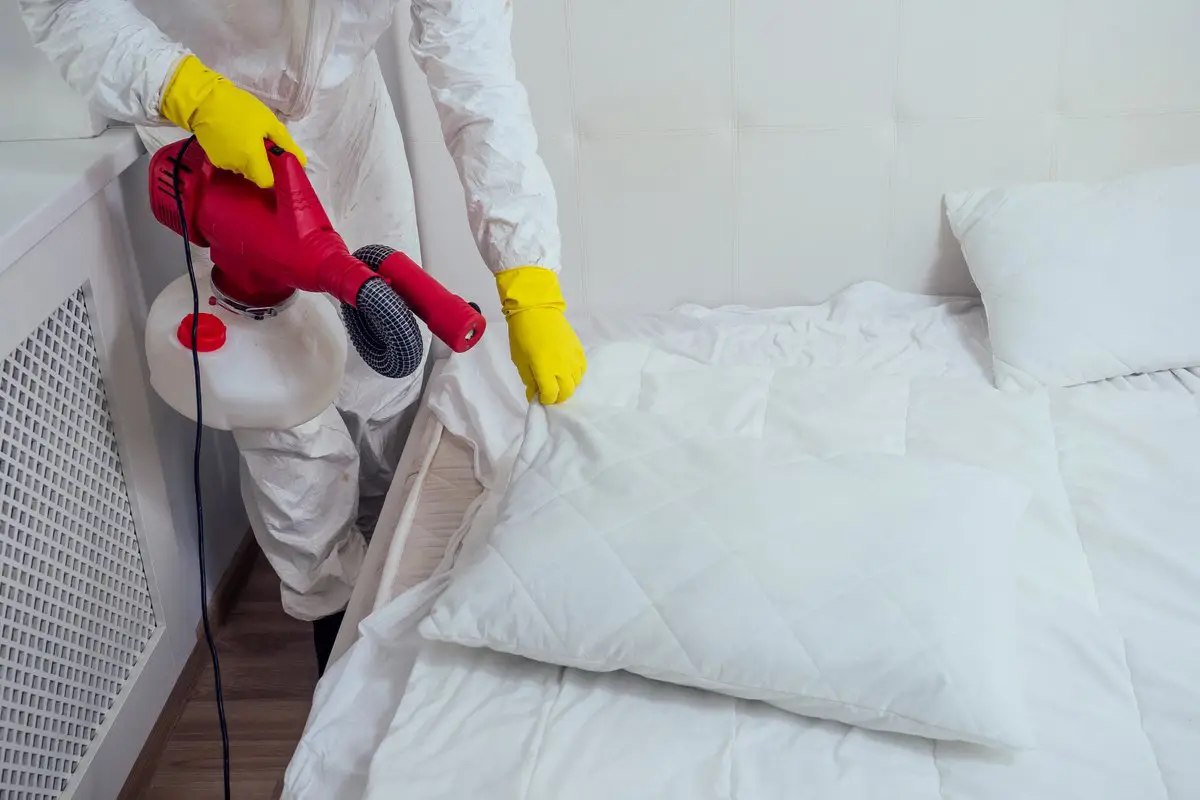Don’t Let Bed Bugs Bite —A Comprehensive Guide to Bed Bug Prevention and Control 