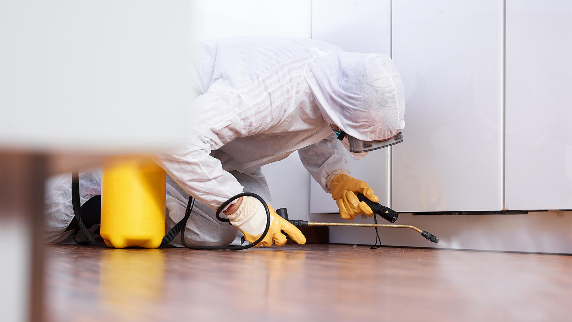 Why Professional Pest Control is Better than DIY Solutions in Longview