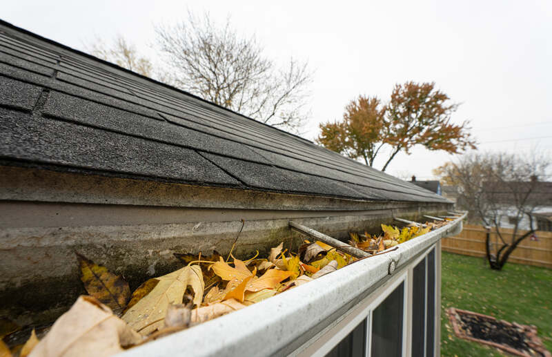 Common Causes of Roof Leaks: Why Your Gutters Matter 