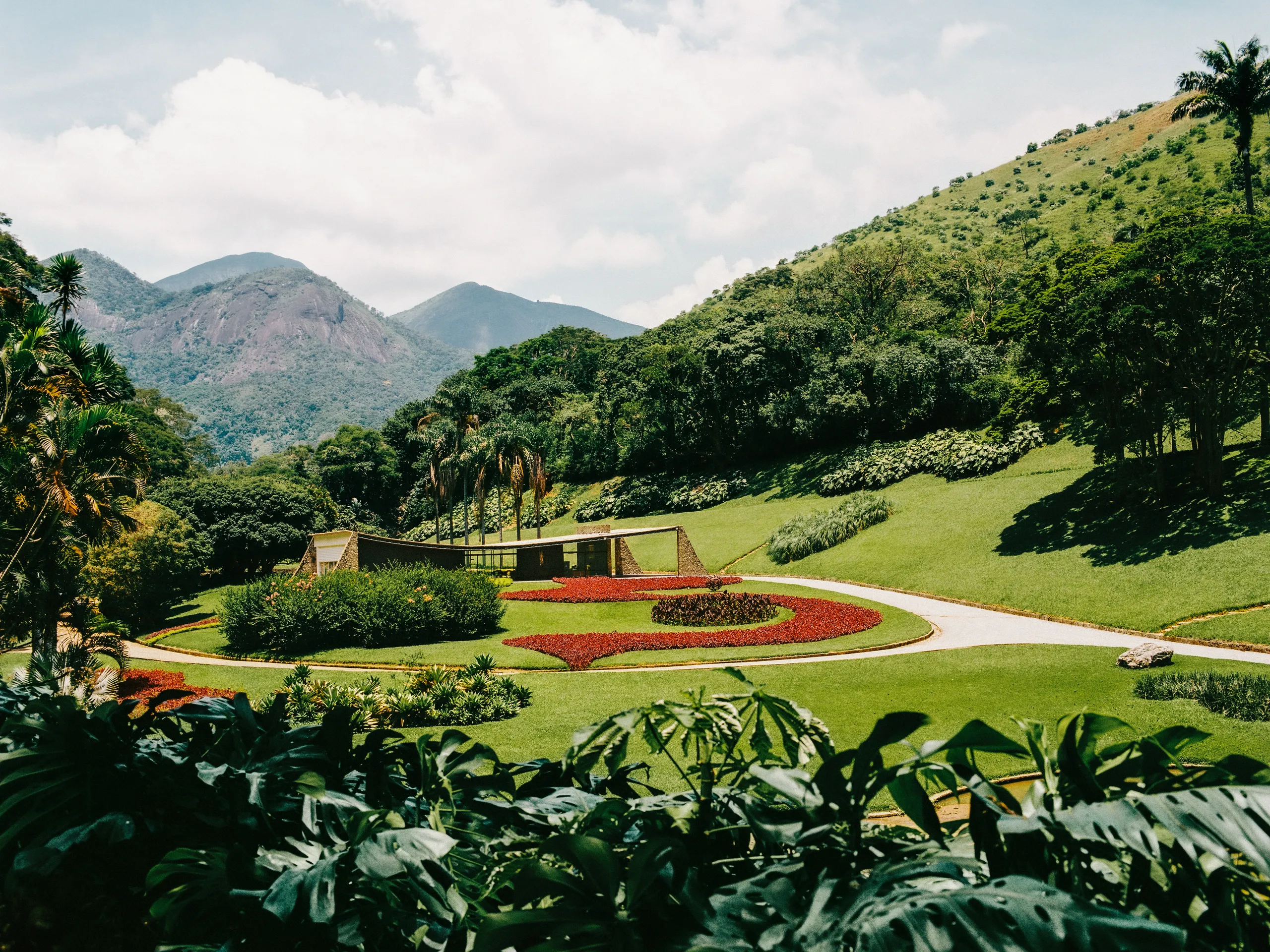 Lively lawns and lush landscapes: starting the newest green legacy for a better future